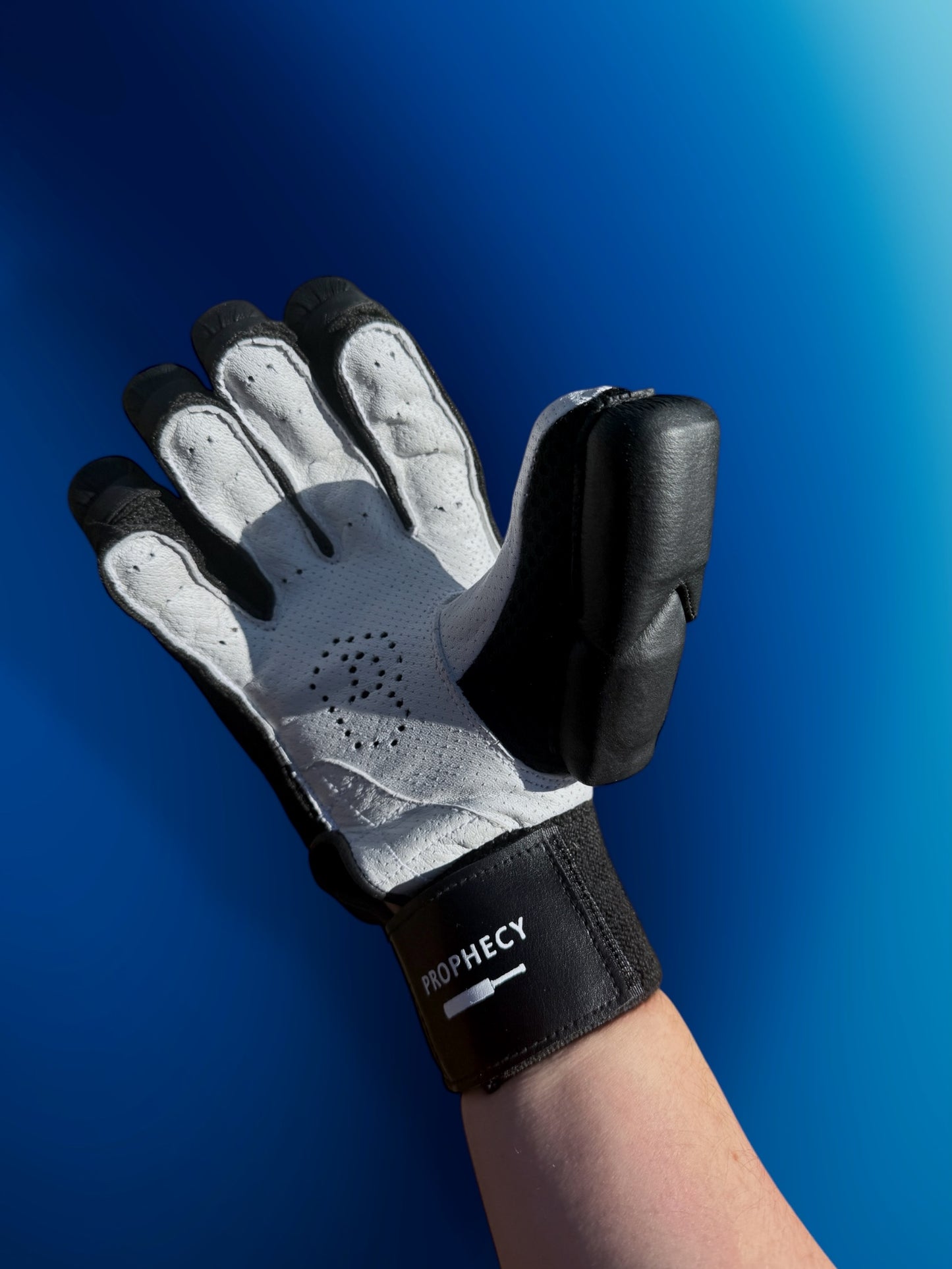 Prophecy Batting Gloves (Black)