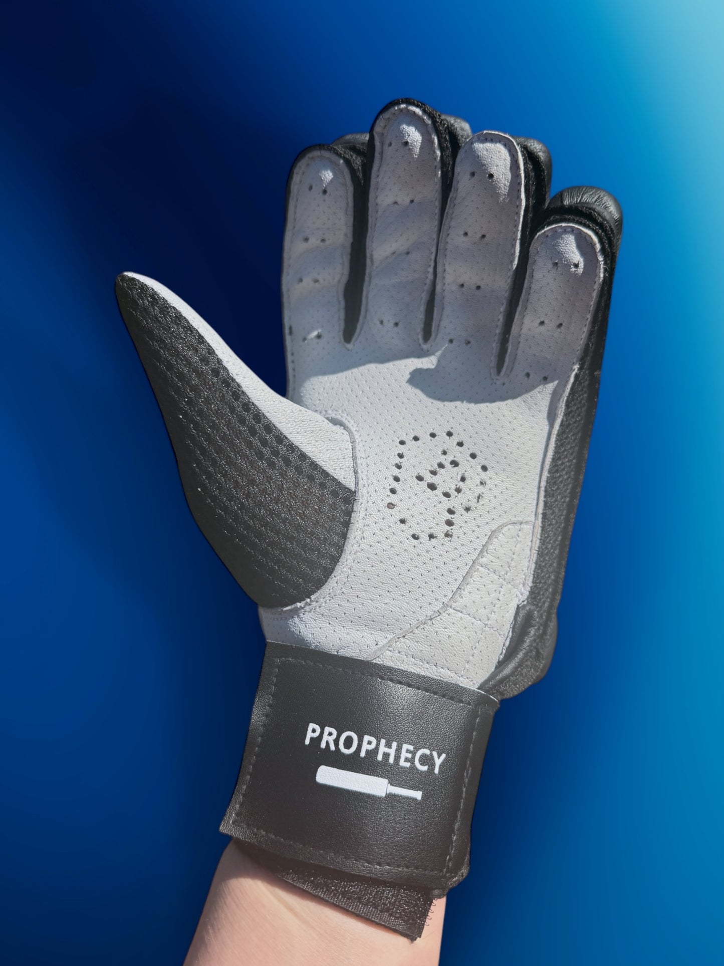 Prophecy Batting Gloves (Black)