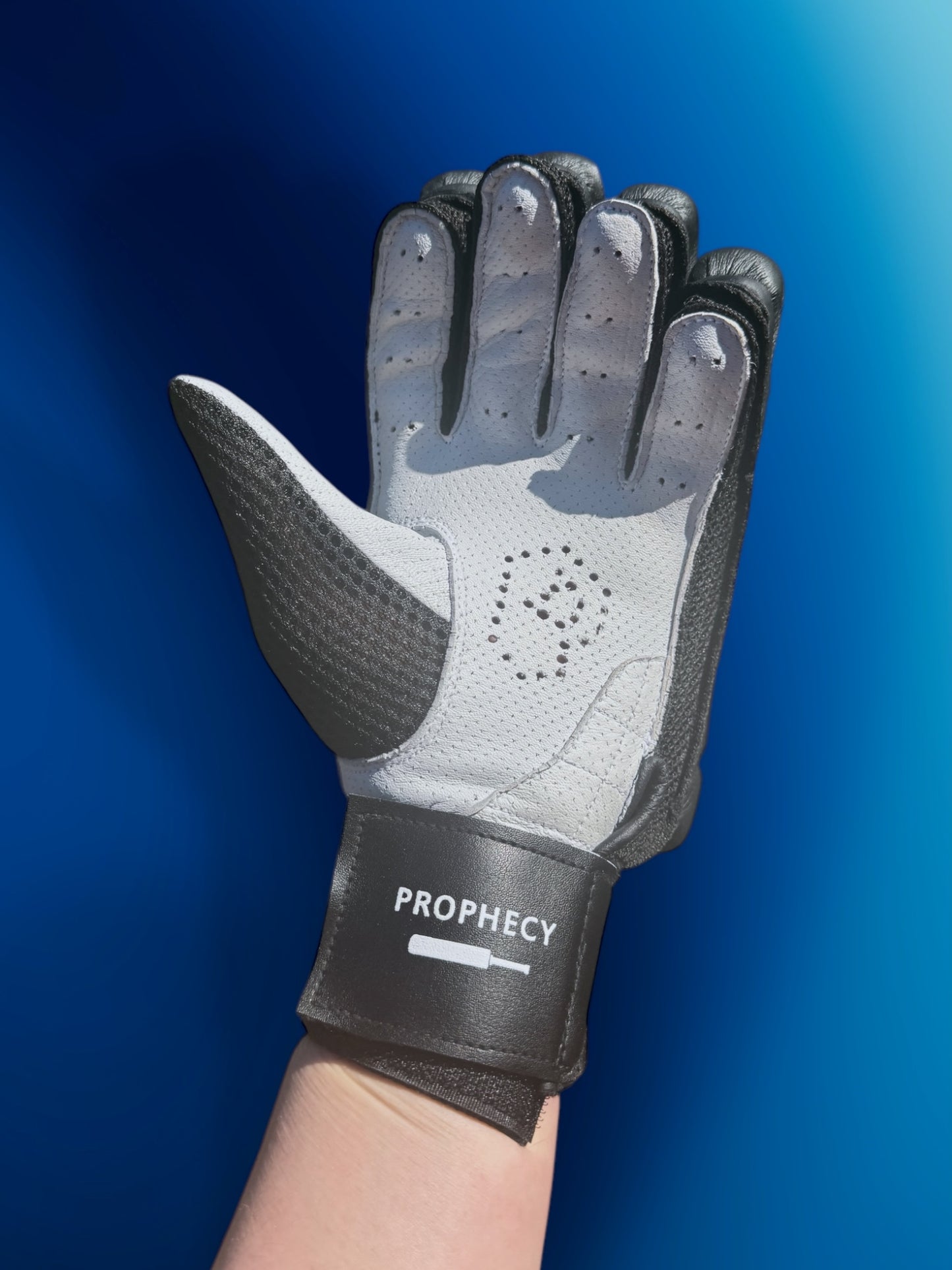 Prophecy Batting Gloves (Black)