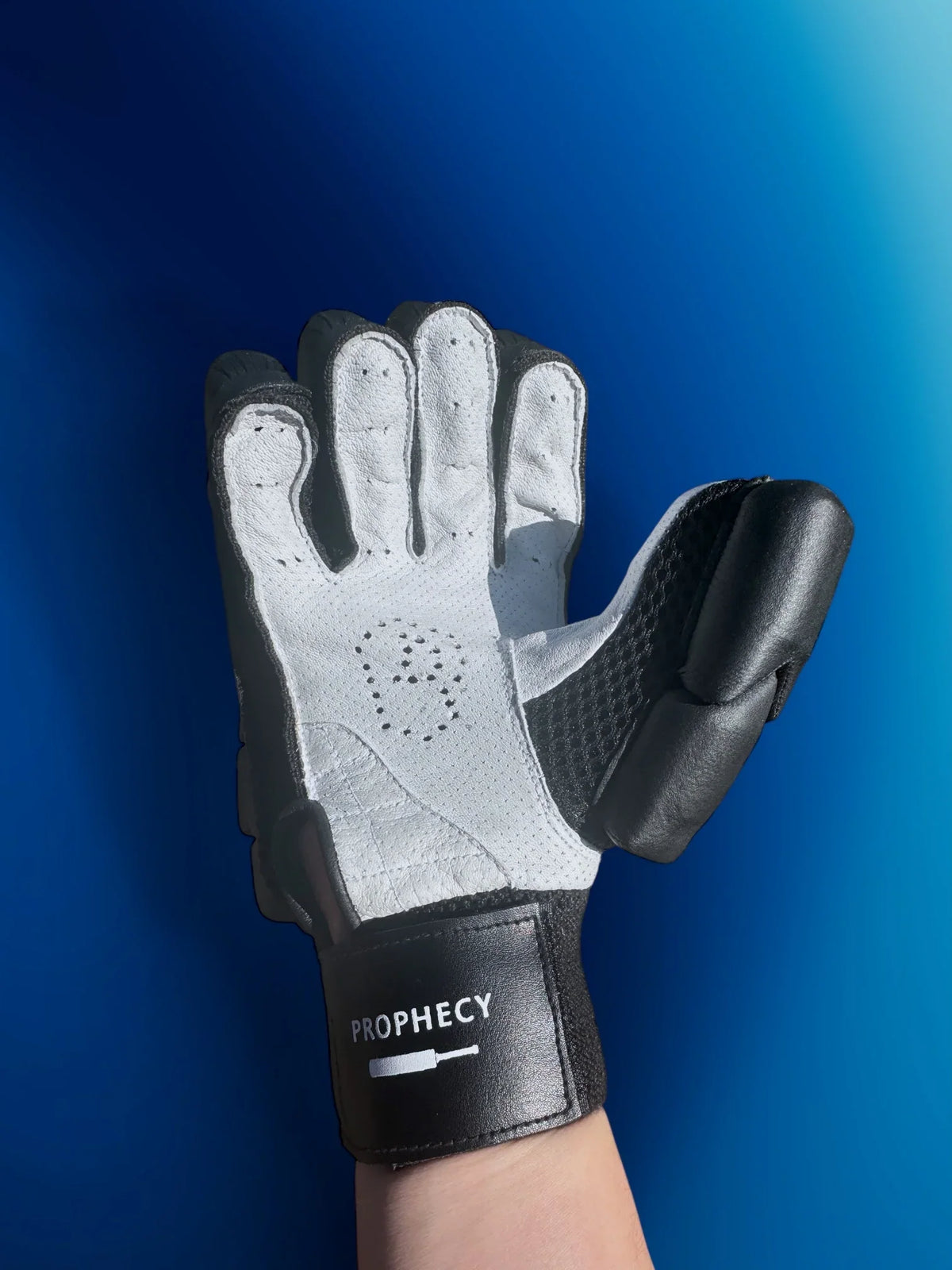 Batting Gloves (Black)