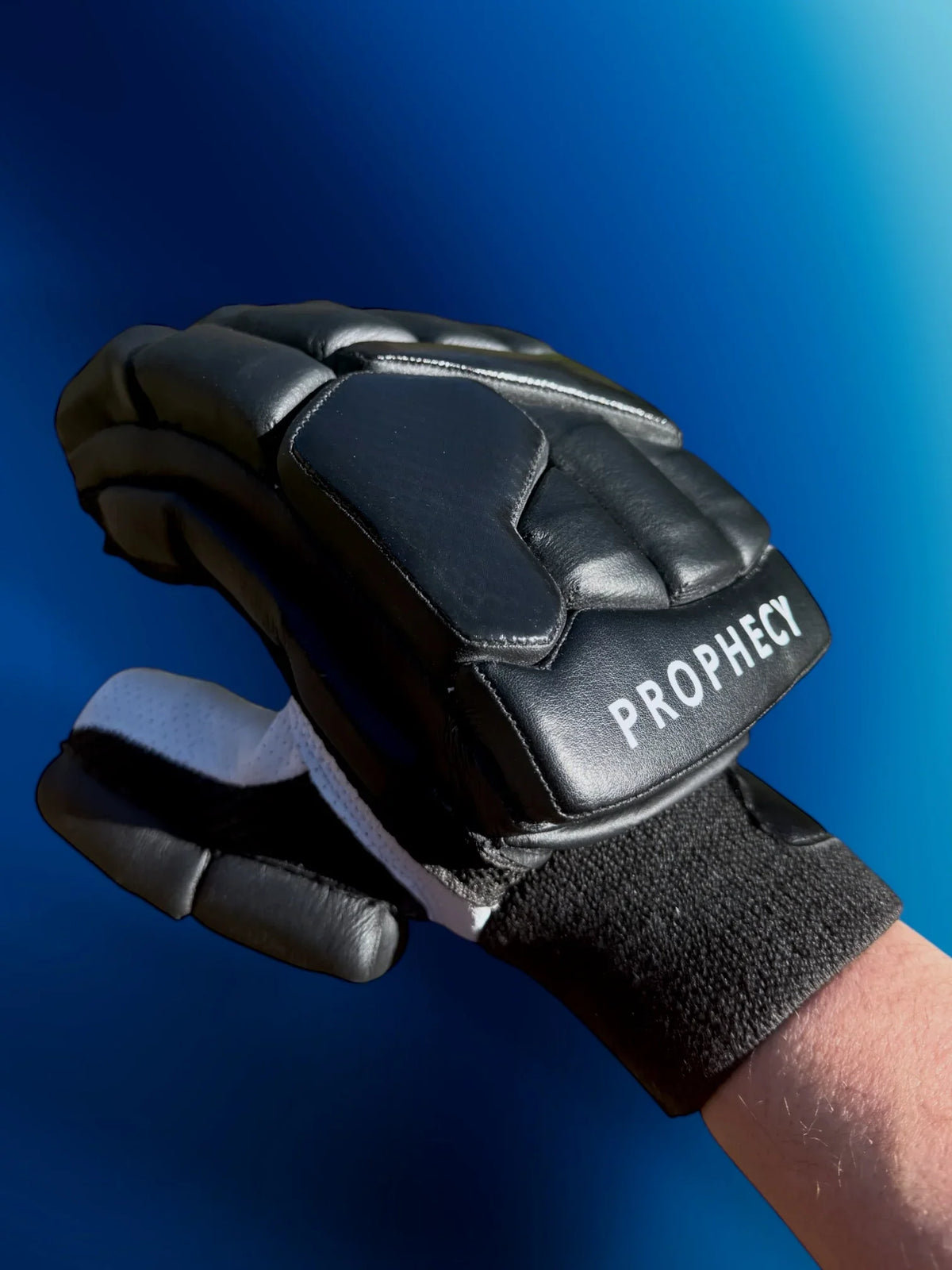 Batting Gloves (Black)