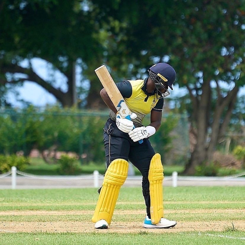 Prophecy Cricket Batsman