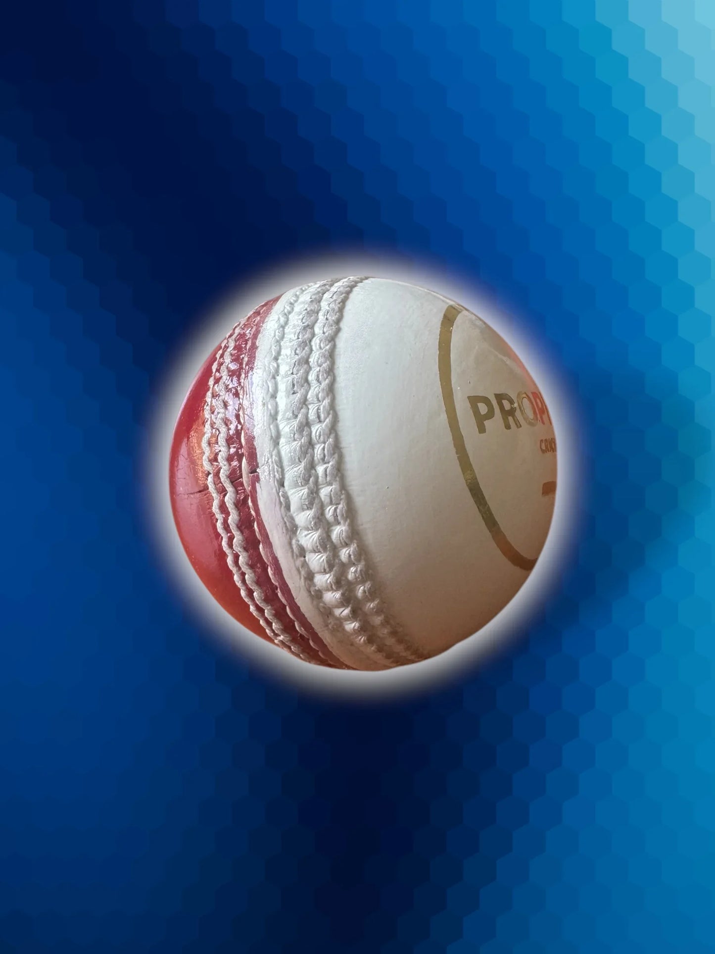 Prophecy White / Red cricket training ball