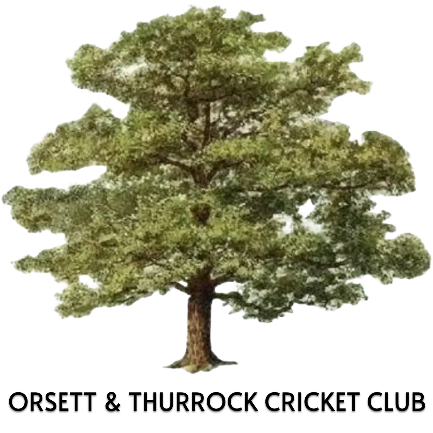 Prophecy Long Sleeve Jumper - Orsett & Thurrock Cricket Club