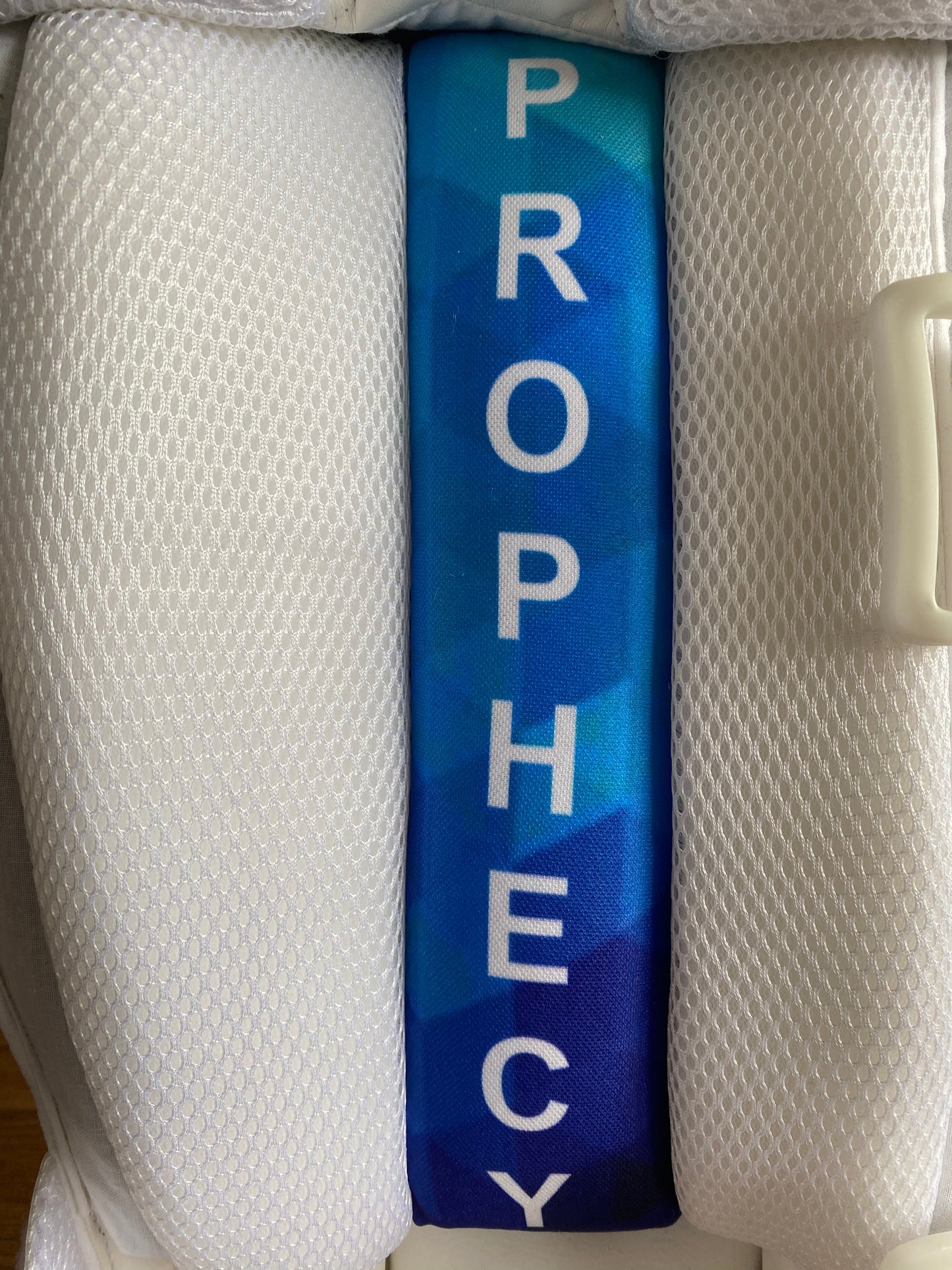 Prophecy Cricket Batting Pads