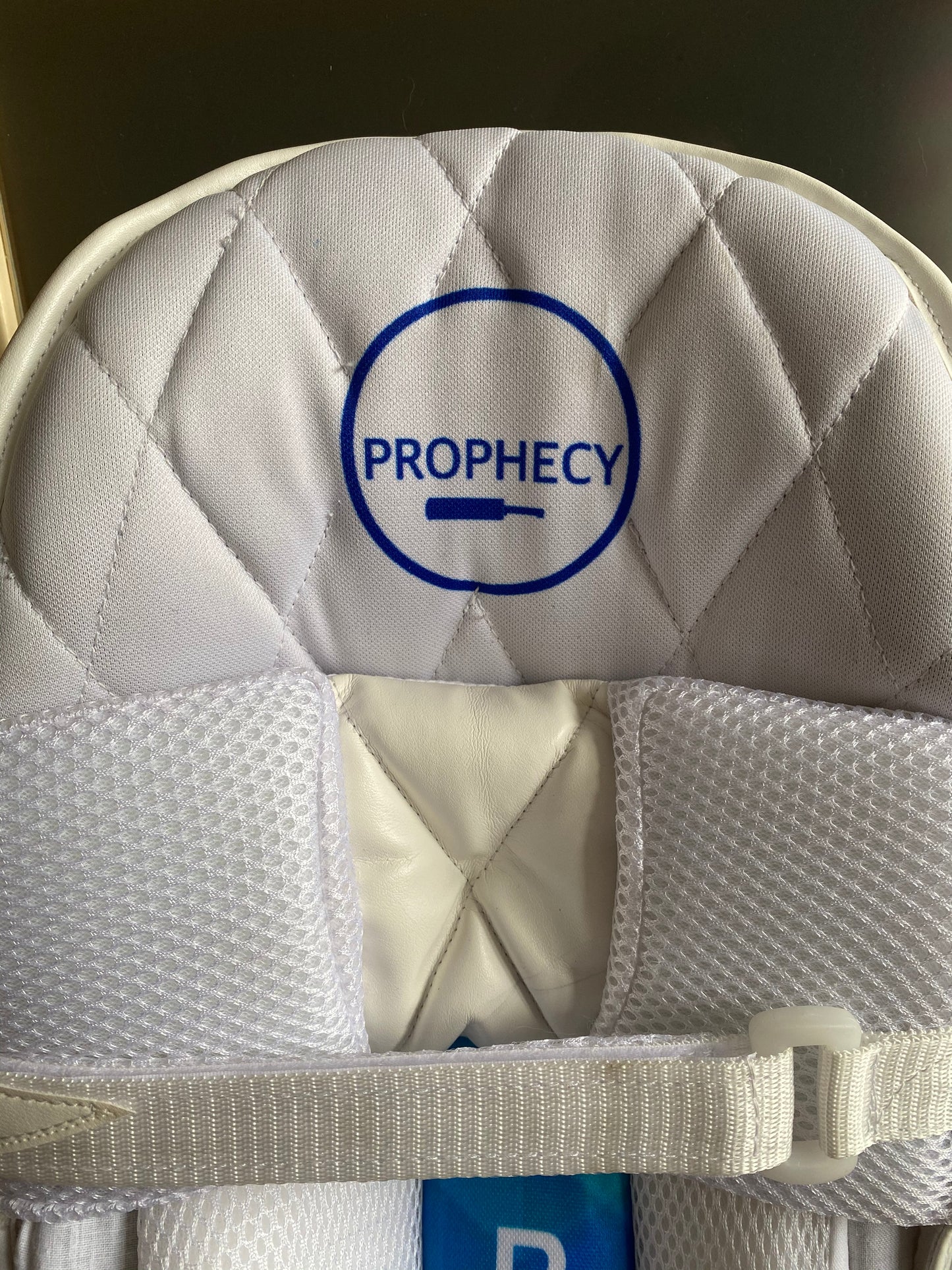 Prophecy Cricket Batting Pads
