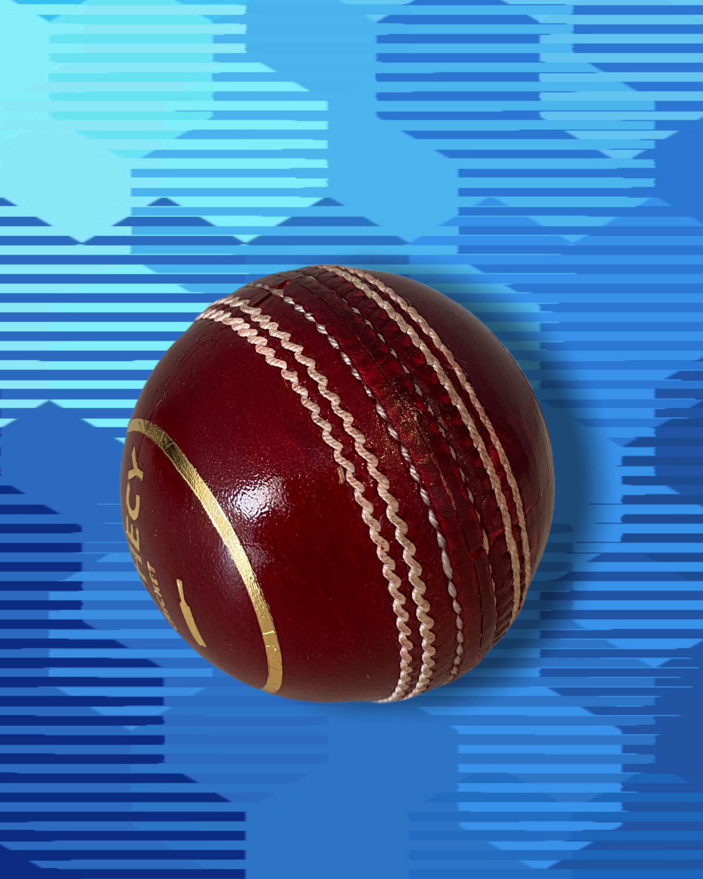 cricket balls