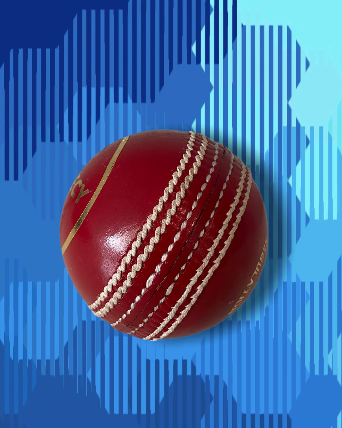 cricket balls
