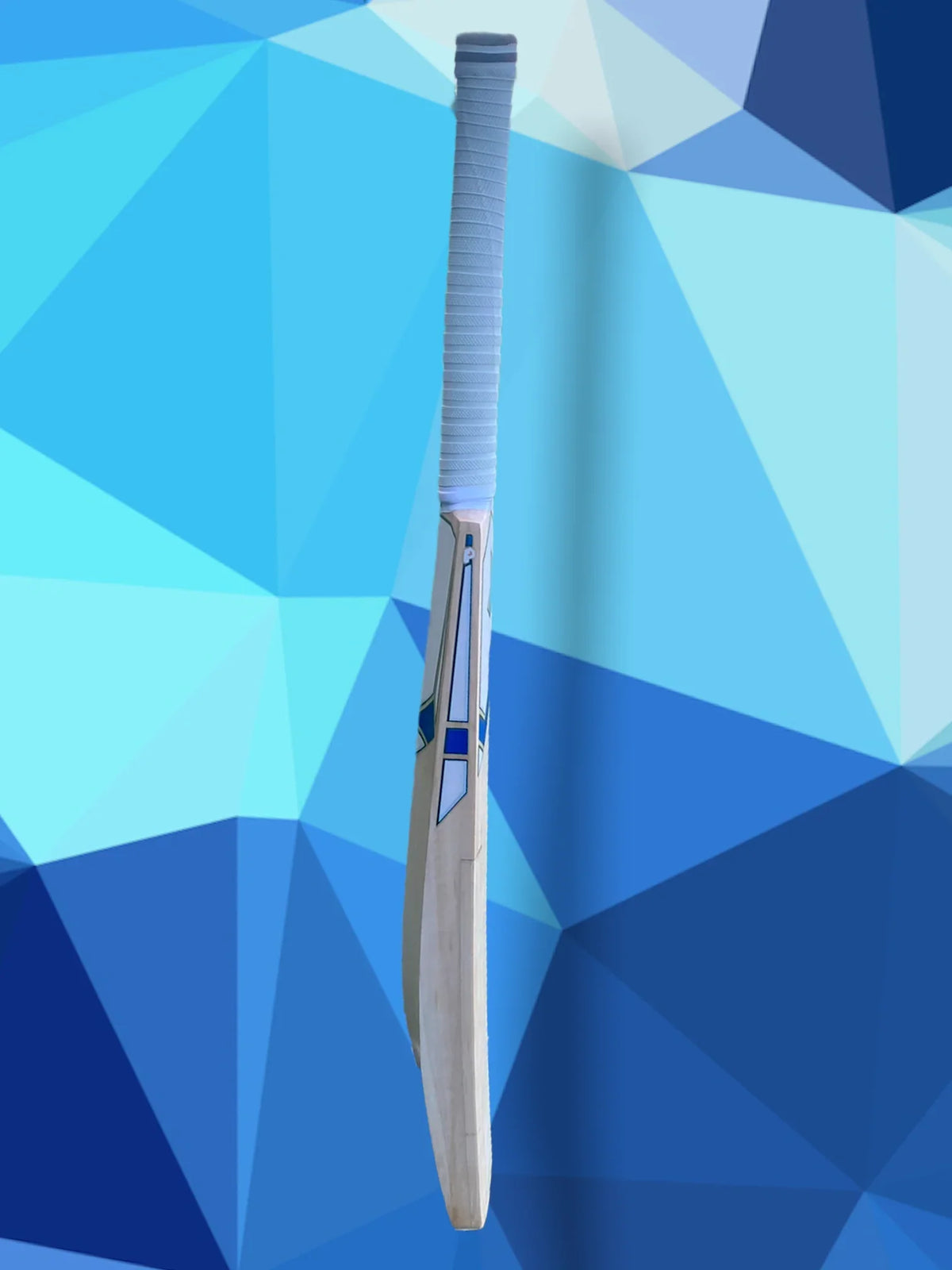 cricket bat