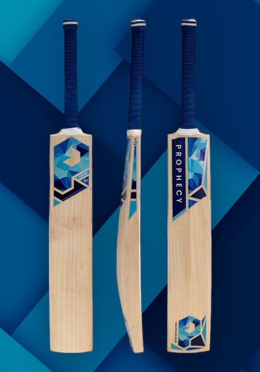 Prophecy Vision Cricket Bat