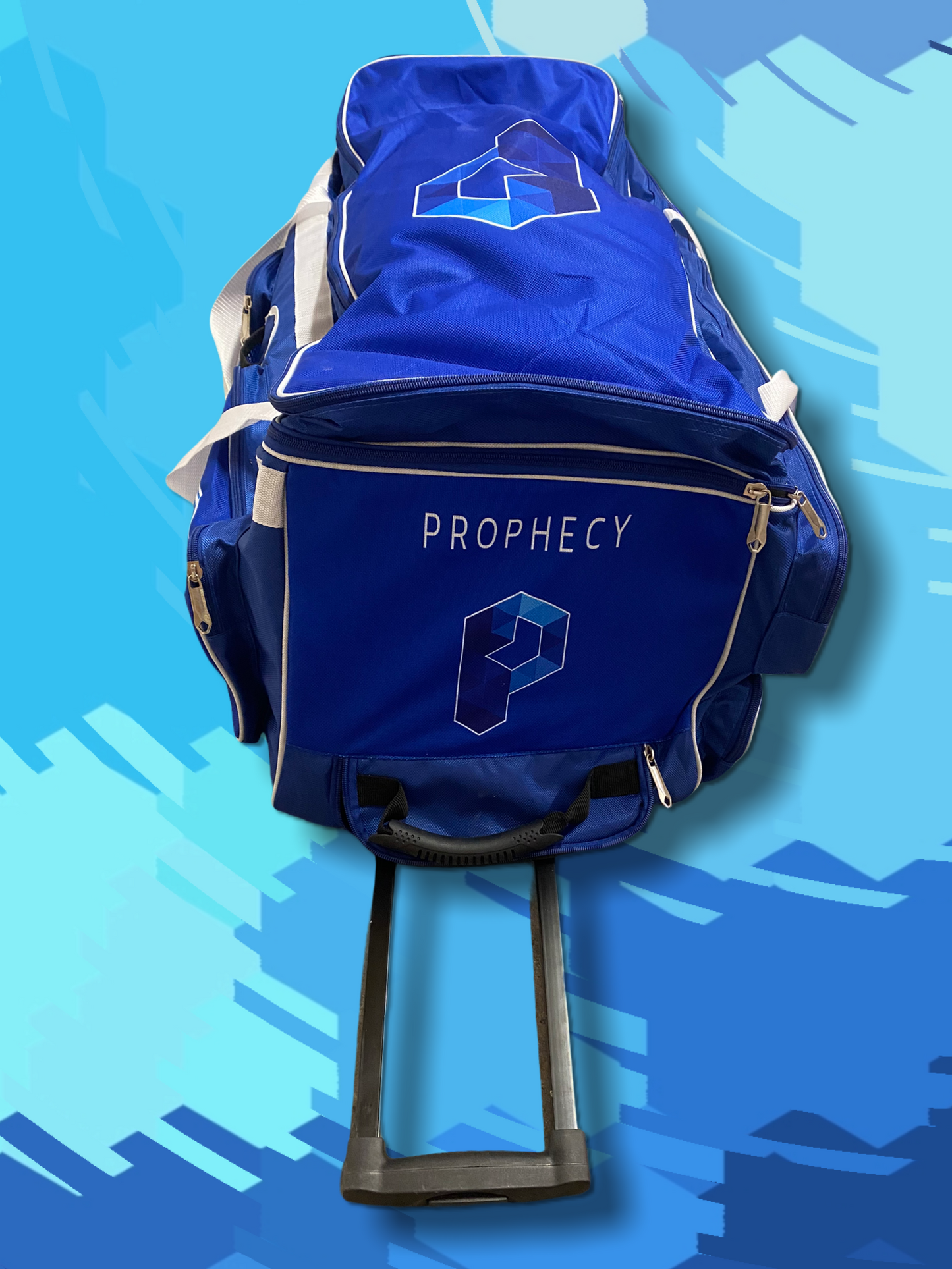 large cricket bag