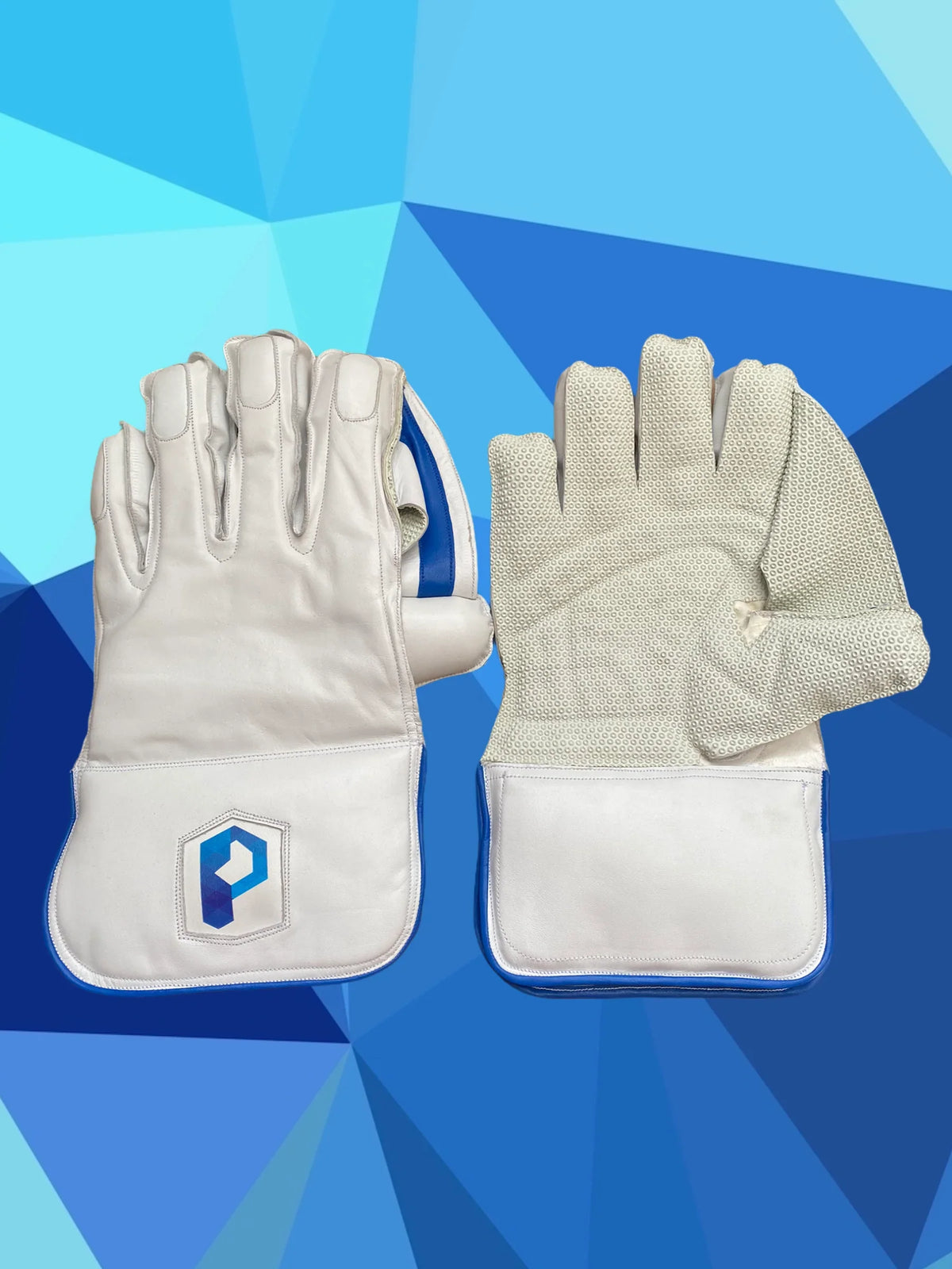 Wicket keeping gloves