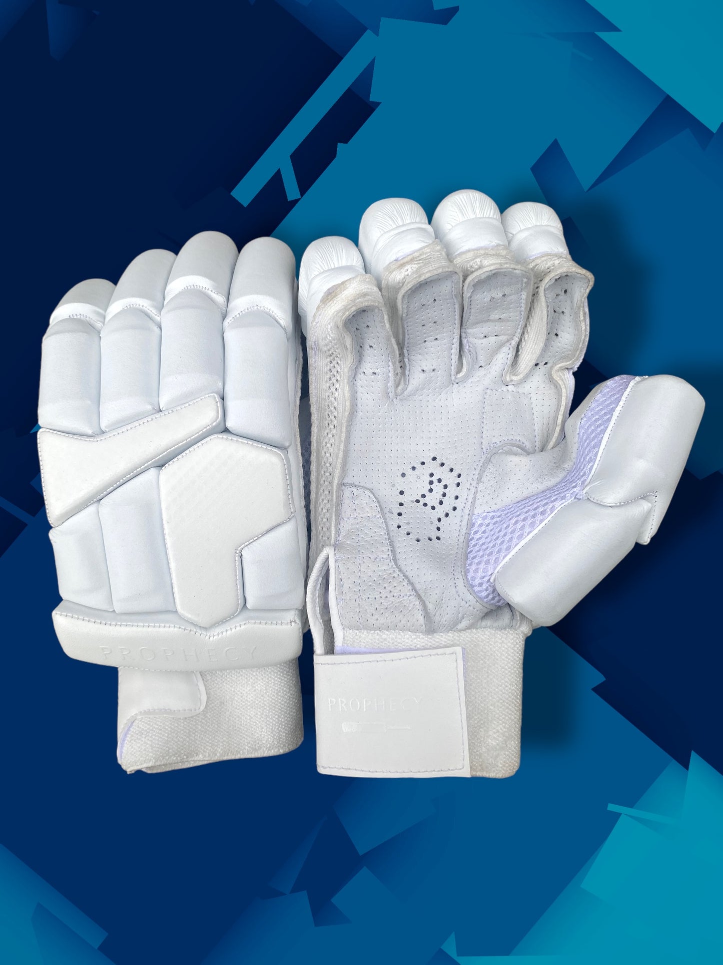 Prophecy Cricket Gloves