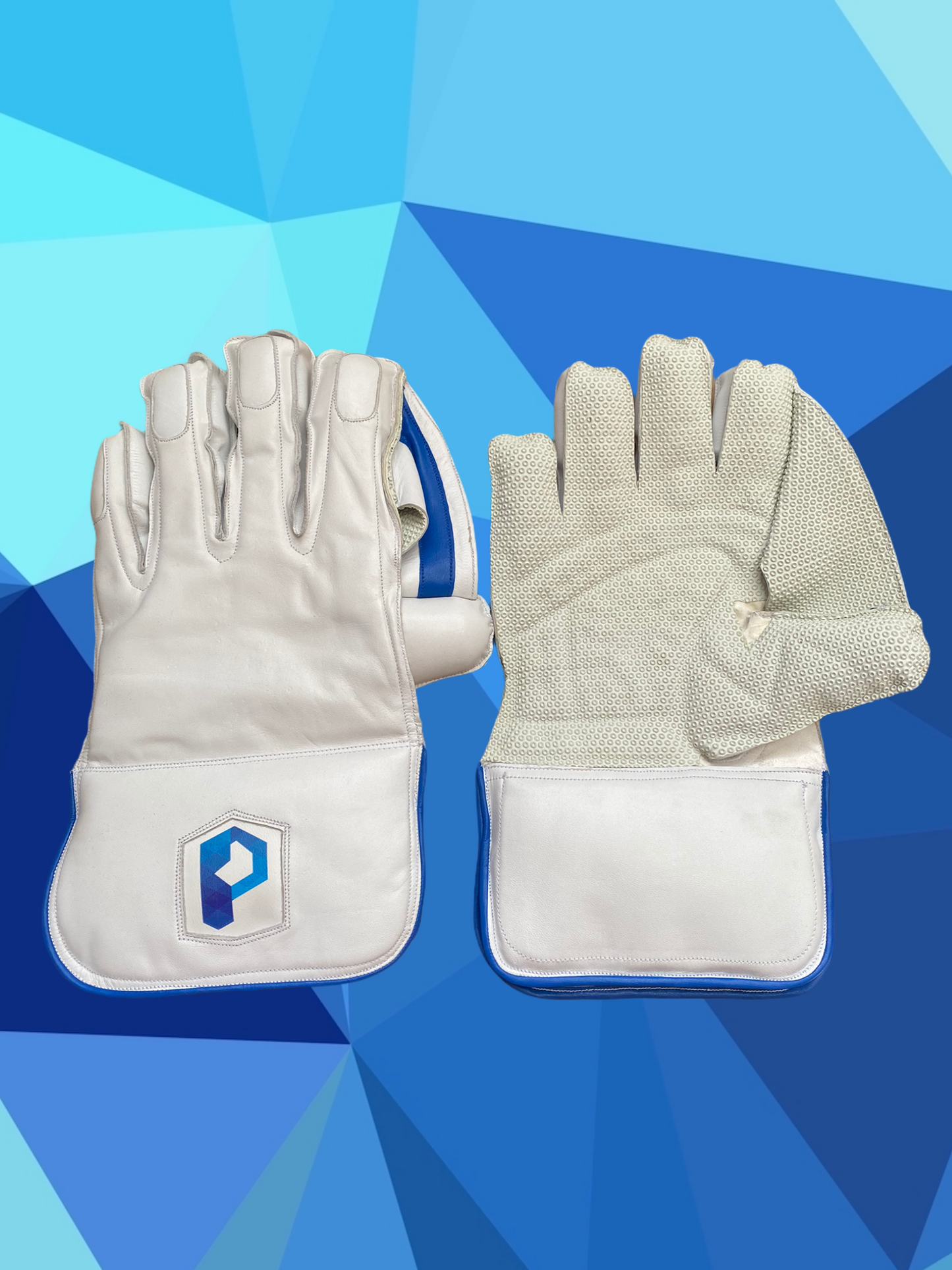 cricket keeping gloves