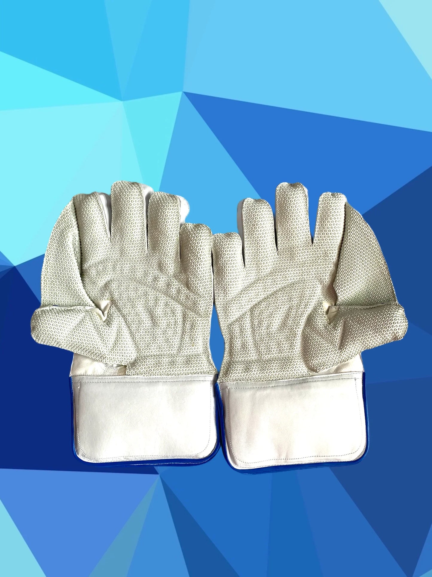 gloves cricket
