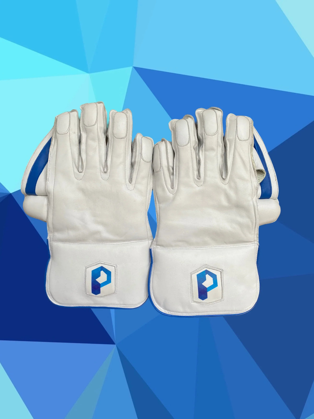 Wicket keeping gloves