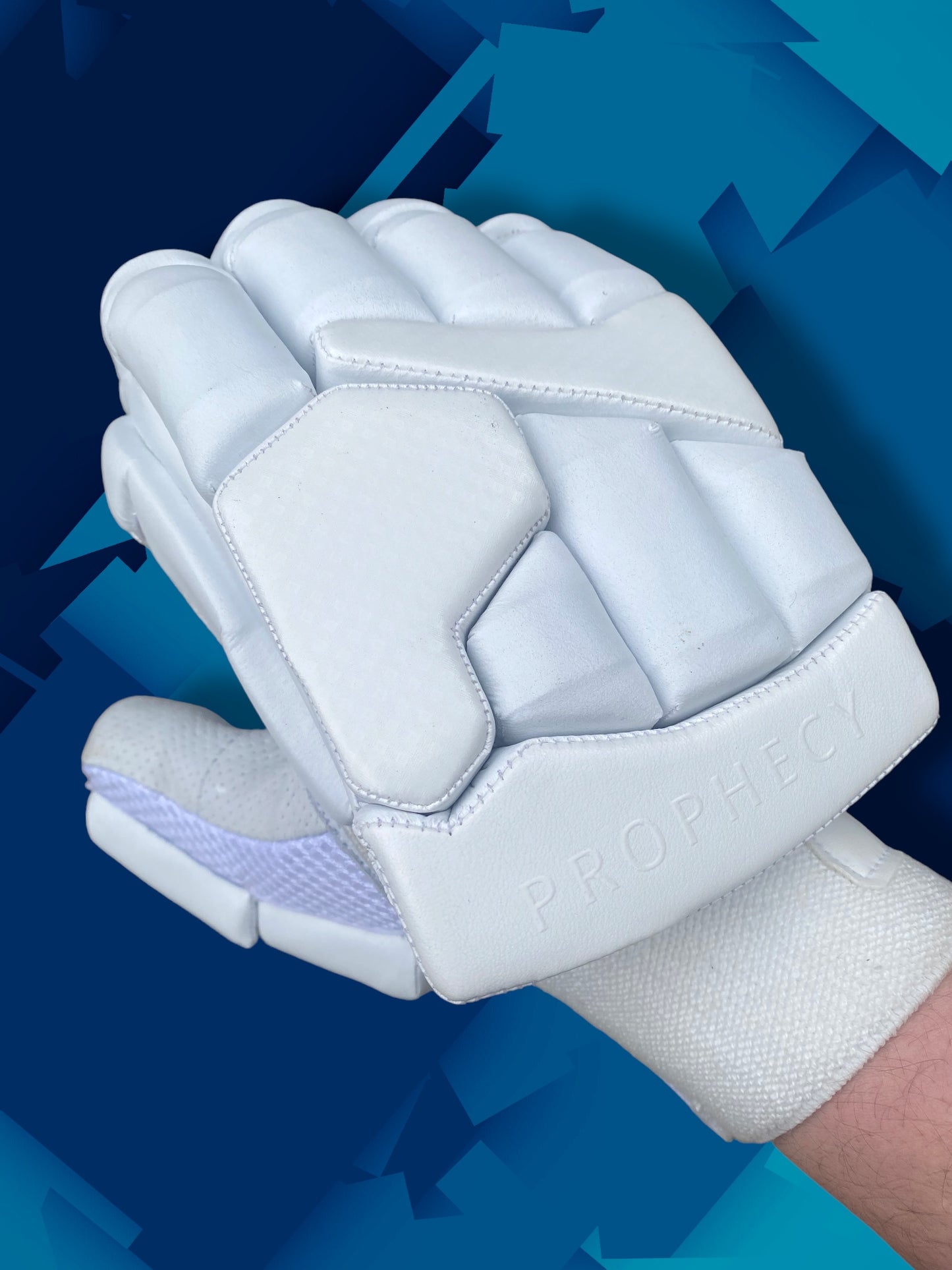 Prophecy Cricket Gloves