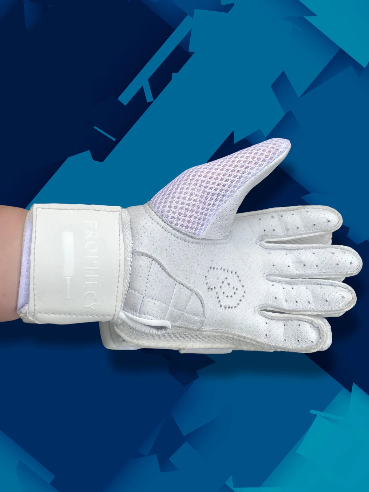 Batting Gloves