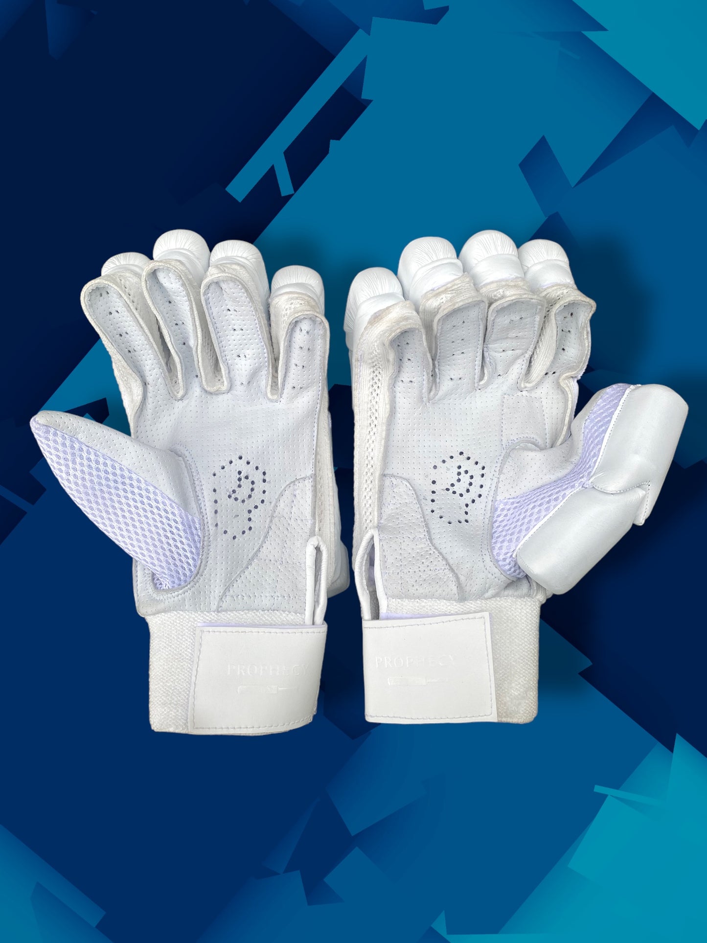 Prophecy Cricket Gloves