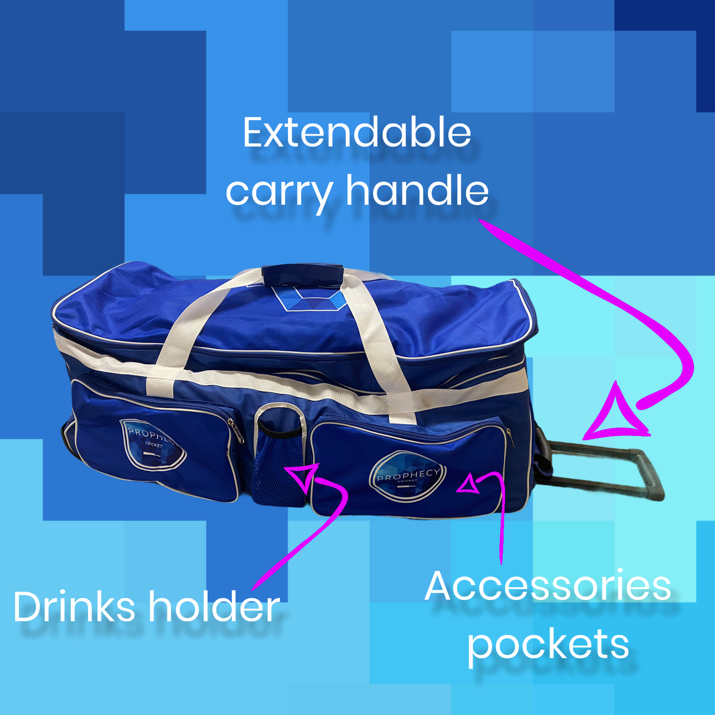 cricket bag