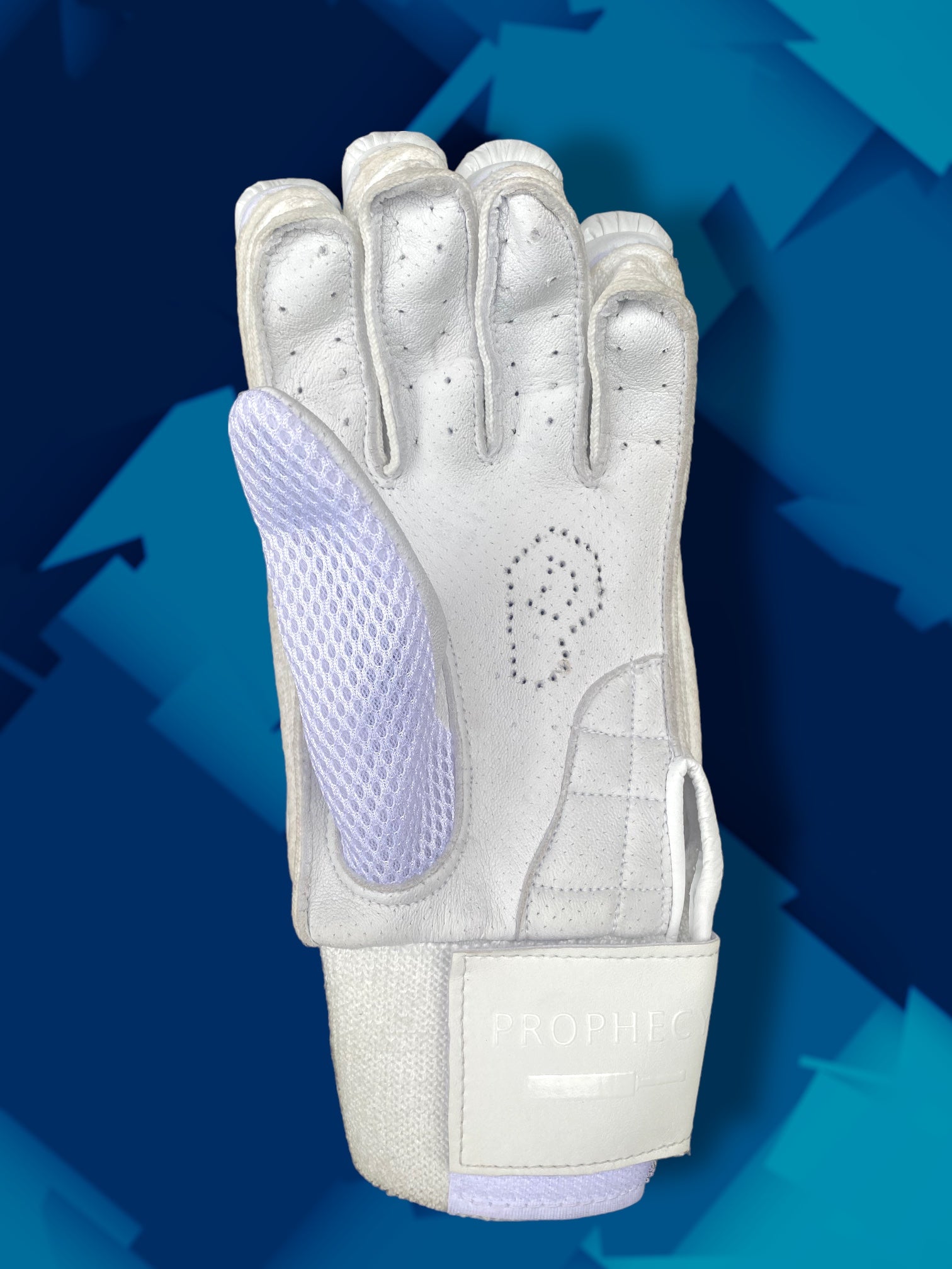 Prophecy Cricket Batting Gloves