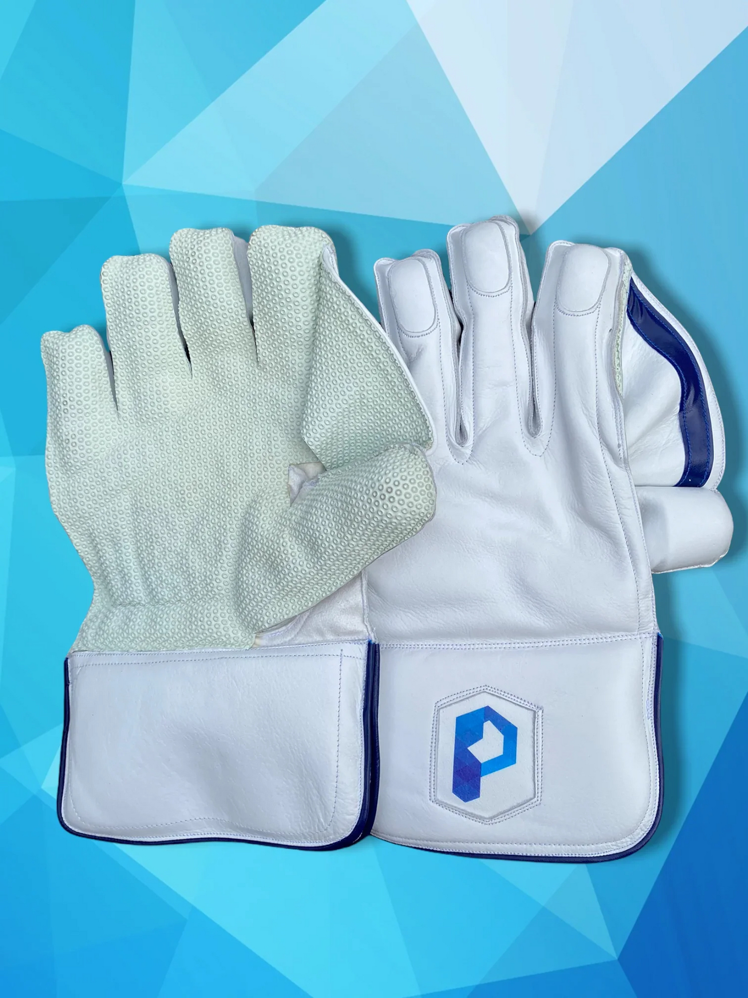 Prophecy Wicket Keeping Kit