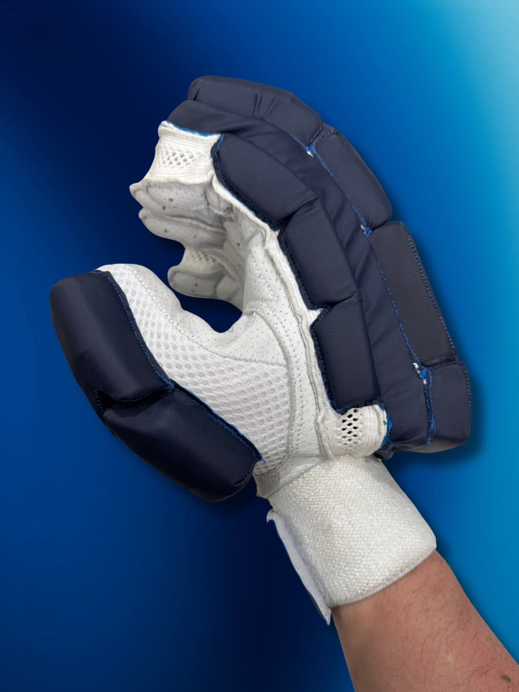 Prophecy Batting Gloves (Blue)