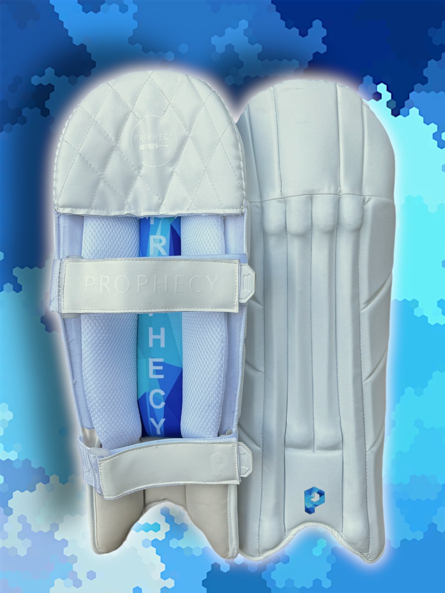 Prophecy wicket keeping pads