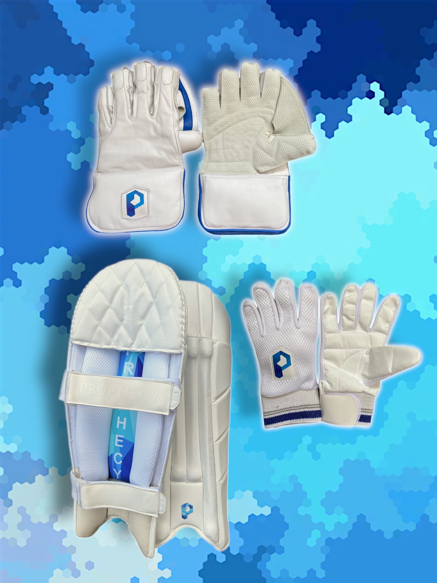 Cricket wicket sales keeping kit