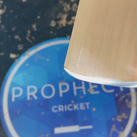 Cricket bat Prophecy 