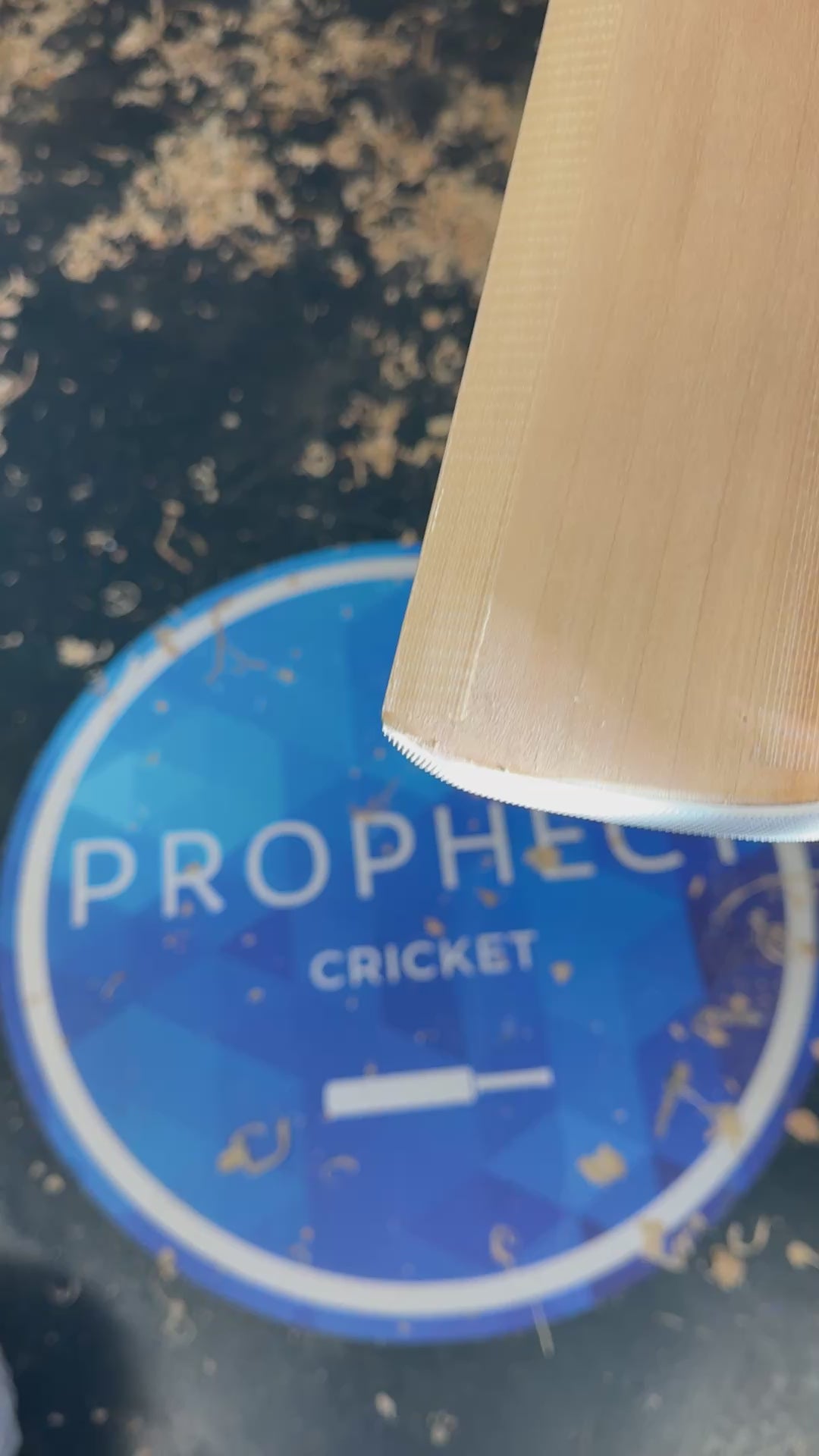 Cricket bat Prophecy 