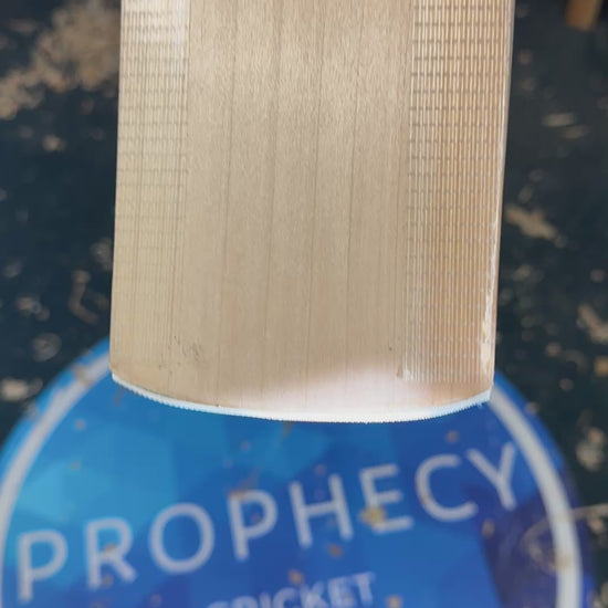 Prophecy cricket bat grains