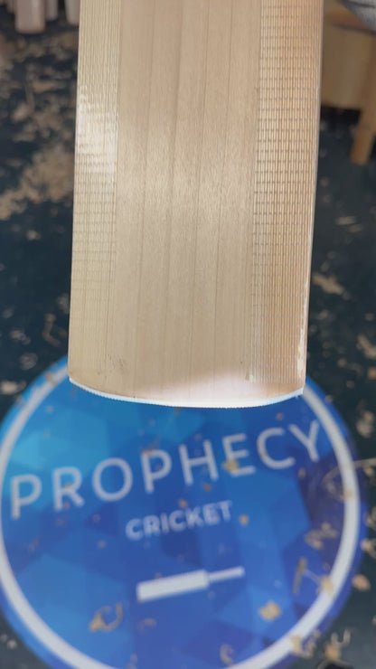 Prophecy cricket bat grains