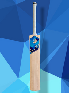 Prophecy Vision cricket bat