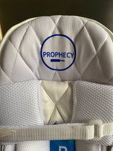 Load image into Gallery viewer, Prophecy Cricket Batting Pads