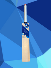 Load image into Gallery viewer, Junior Prophecy Prestige Cricket Bat - Prophecy Cricket