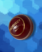 Load image into Gallery viewer, prophecy cricket ball