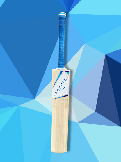 2022 cricket bats