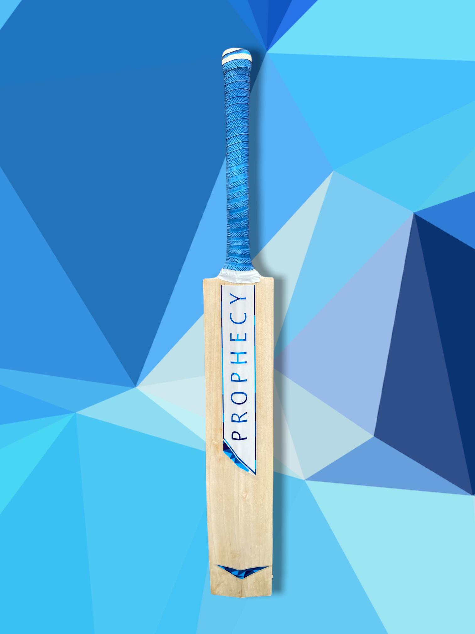 blue cricket bats