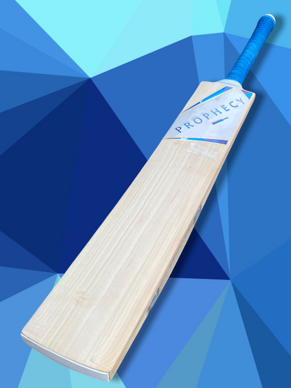 cheap cricket bat