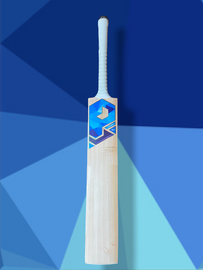 buy cricket bat
