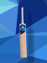 Load image into Gallery viewer, best quality cricket bats