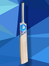 Load image into Gallery viewer, Prophecy cricket bat