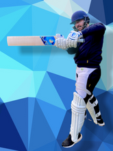 Load image into Gallery viewer, Cricketer