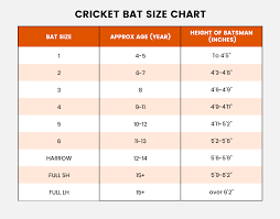 Junior Prophecy Oracle Cricket Bat - Prophecy Cricket