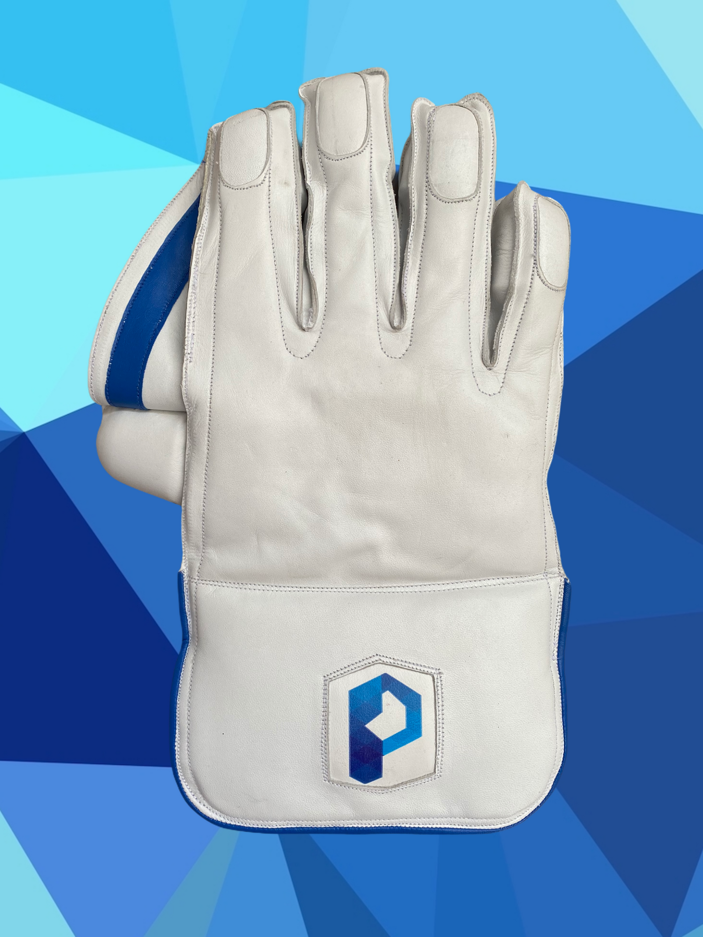 wicket keeper gloves