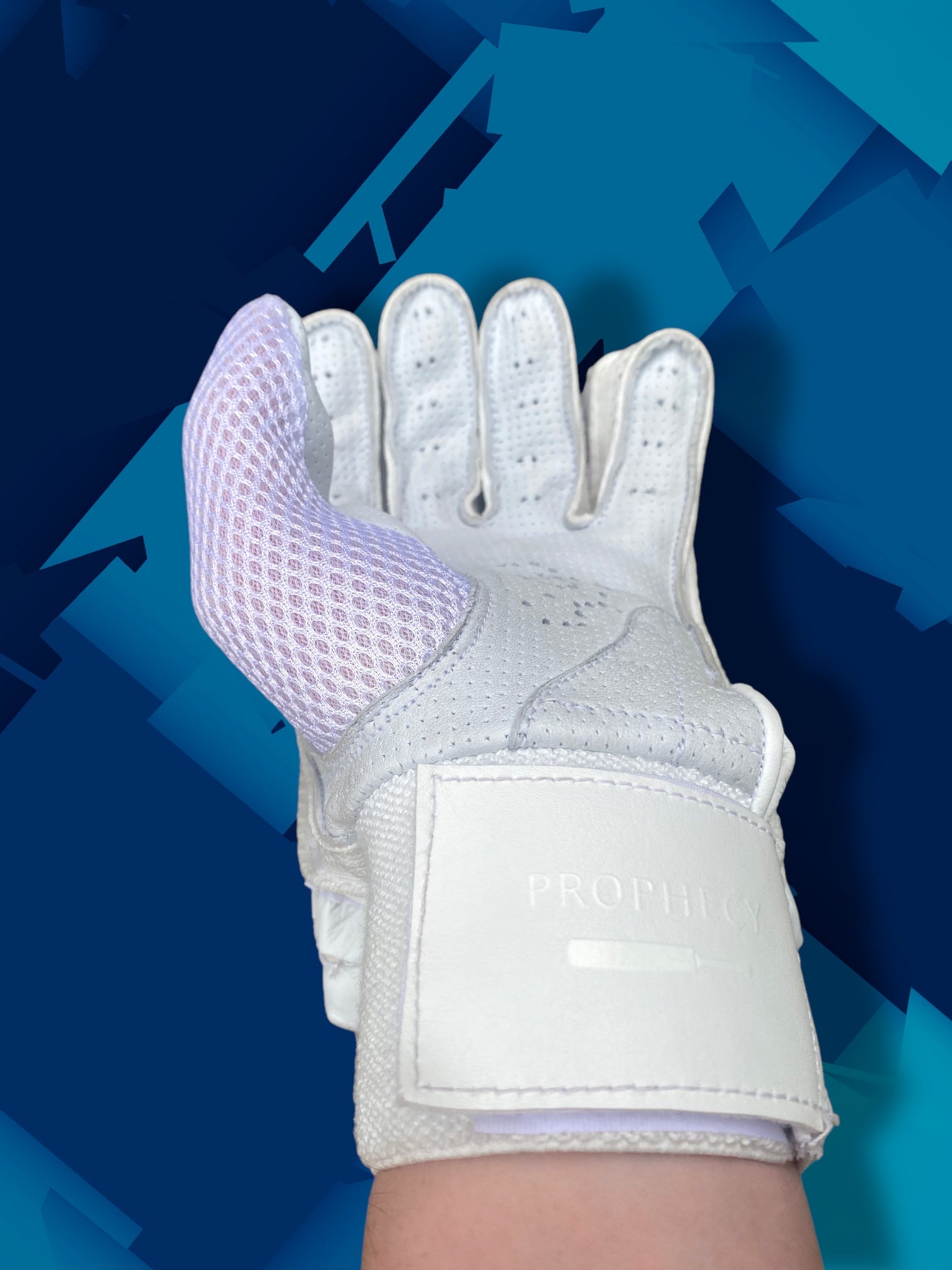Prophecy Cricket Gloves