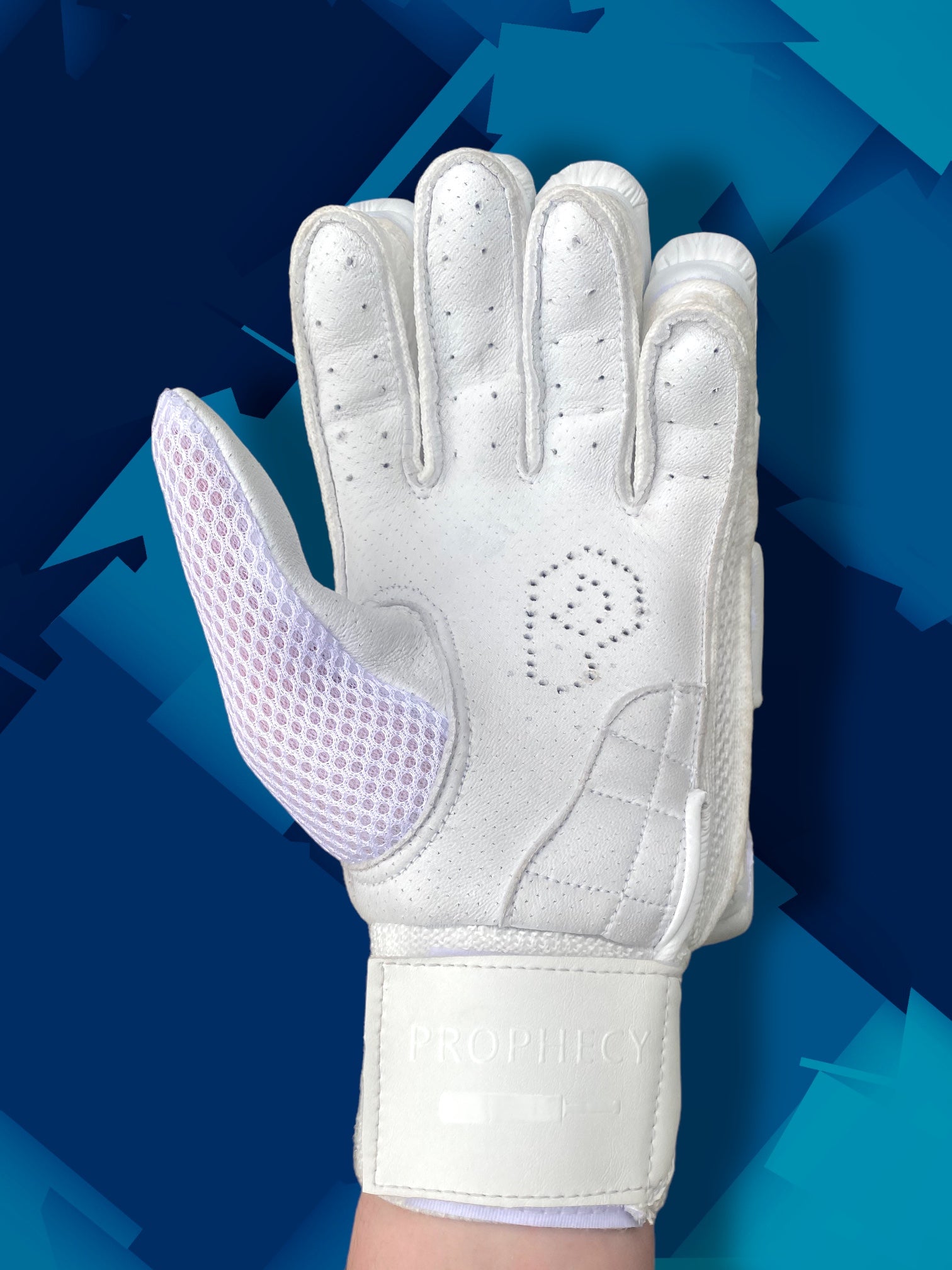 Prophecy Cricket Gloves