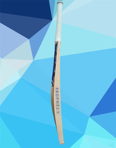 Cricket bat pick up